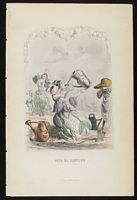 Pois de senteur. Planche Granville. Cliquer pour agrandir l'image.