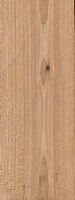Prunellier. Bois en coupe longitudinale. Cliquer pour agrandir l'image.