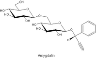 Prunellier. Amygdaline. Cliquer pour agrandir l'image.