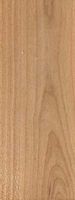Prunier commun. Bois en coupe longitudinale. Cliquer pour agrandir l'image.
