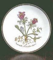 Pulsatille commune. Faience. Cliquer pour agrandir l'image.