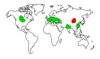 Renouée sarrasin. Répartition. Cliquer pour agrandir l'image.