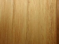 Robinier faux-acacia, Bois en coupe tangentielle. Cliquer pour agrandir l'image.