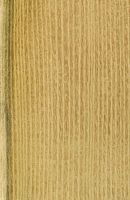 Robinier faux-acacia, Bois en coupe longitudinale. Cliquer pour agrandir l'image.