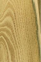 Robinier faux-acacia, Bois en coupe tangentielle. Cliquer pour agrandir l'image.