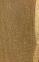 Robinier faux-acacia, Bois en coupe tangentielle. Cliquer pour agrandir l'image.