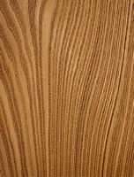 Robinier faux-acacia, Bois en coupe longitudinale. Cliquer pour agrandir l'image.