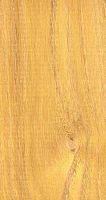 Robinier faux-acacia, Bois en coupe longitudinale. Cliquer pour agrandir l'image.