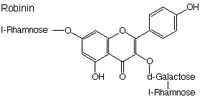 Robinier faux-acacia, Robinine. Cliquer pour agrandir l'image.