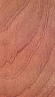 Sapele. Bois en coupe tangentielle. Cliquer pour agrandir l'image.