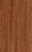 Sapele. Bois en coupe longitudinale. Cliquer pour agrandir l'image.