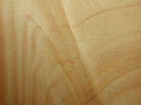 Sapin pectiné. Sapin pectiné coupe tangentielle du bois. Cliquer pour agrandir l'image.