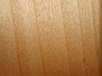 Saule pleureur. Bois en coupe tangentielle. Cliquer pour agrandir l'image.