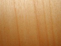 Saule pleureur. Bois en coupe longitudinale. Cliquer pour agrandir l'image.
