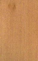 Tilleul à petites feuilles. Bois en coupe longitudinale. Cliquer pour agrandir l'image.