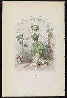 Vigne rouge. Planche Granville. Cliquer pour agrandir l'image.
