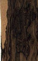 Ziricotte. Bois. Cliquer pour agrandir l'image.
