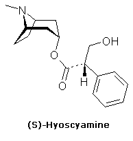 Solanacées. Hyoscyamine.