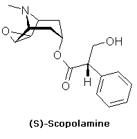 Solanacées. Scopolamine.