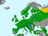 Mésange noire. Répartition. Cliquer pour agrandir l'image.