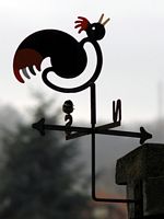 Mésange noire. Sur girouette, Chamalières. Cliquer pour agrandir l'image.
