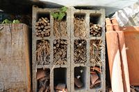 L'osmie cornue. Nichoir. Cliquer pour agrandir l'image.