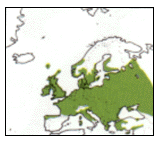 Tourterelle turque. Répartition en Europe.