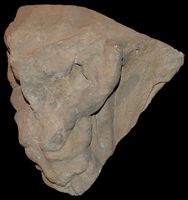 Le Temple de Mercure du Puy de Dôme. Fragment de chapiteau de la façade du pronaos (?). Cliquer pour agrandir l'image.
