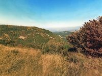 Puy du Grand Sarcoui. vu depuis le puy des Goules. Cliquer pour agrandir l'image.