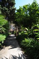Le sud-est de la vieille ville de Palma de Majorque. Jardins des Bains arabes. Cliquer pour agrandir l'image dans Adobe Stock (nouvel onglet).