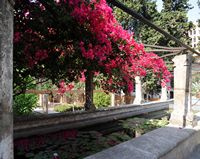 Le quartier de la cathédrale de Palma de Majorque. Jardin de l'Évêché. Cliquer pour agrandir l'image.