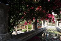 Le quartier de la cathédrale de Palma de Majorque. Jardin de l'Évêché. Cliquer pour agrandir l'image.