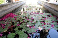 Le quartier de la cathédrale de Palma de Majorque. Jardin de l'Évêché. Cliquer pour agrandir l'image.