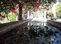 Le quartier de la cathédrale de Palma de Majorque. Les nymphéas du jardin de l'évêché. Cliquer pour agrandir l'image.