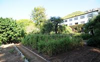 L'hôtel Formentor à Majorque. Le jardin potager de l'hôtel. Cliquer pour agrandir l'image.