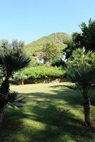 L'hôtel Formentor à Majorque. Les pelouses de l'hôtel. Cliquer pour agrandir l'image.