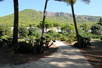 L'hôtel Formentor à Majorque. Les jardins en terrasse. Cliquer pour agrandir l'image.