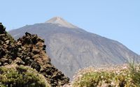 Het Nationaal Park van de Teide in Tenerife. De Pico del Teide gezien vanaf de botanische tuin. Klikken om het beeld te vergroten in Adobe Stock (nieuwe tab).