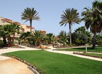 Het dorp Caleta de Fuste in Fuerteventura. De tuin van het hotel Elba Carlota in Caleta de Fuste. Klikken om het beeld te vergroten in Adobe Stock (nieuwe tab).