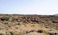 Het Nationaal Park van de Teide in Tenerife. Uitzicht vanaf de Mirador de San José. Klikken om het beeld te vergroten.