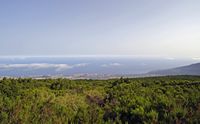 Het natuurpark van de Corona Forestal in Tenerife. Uitzicht op La Orotava. Klikken om het beeld te vergroten.