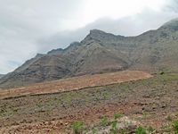 Het natuurpark van Jandía in Fuerteventura. Pico de la Zarza (auteur Norbert Nagel). Klikken om het beeld te vergroten.