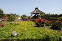 Het dorp Caleta de Fuste in Fuerteventura. De tuin van het hotel Elba Carlota in Caleta de Fuste. Klikken om het beeld te vergroten.