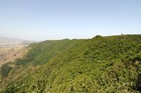 Het dorp Las Mercedes in Tenerife. Het bos gezien vanaf Mirador Pico del Inglés. Klikken om het beeld te vergroten.
