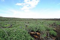 Het dorp Órzola in Lanzarote. De Malpaís de la Corona. Klikken om het beeld te vergroten.