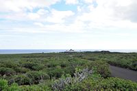 De afgronden van Jameos del Agua in Haría in Lanzarote.De Jameos del Agua gezien vanaf de Cueva de los Verdes. Klikken om het beeld te vergroten.