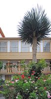 De stad La Orotava in Tenerife. Casa Benitez Lugo y Vergara. Klikken om het beeld te vergroten.
