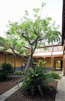 La ville de San Cristóbal de la Laguna à Ténériffe. Patio, casa de Alvarado-Bracamonte. Cliquer pour agrandir l'image.