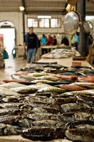 La vieille ville de Split en Croatie. Le marché aux poissons de Split (auteur sjwilliams82). Cliquer pour agrandir l'image dans Flickr (nouvel onglet).