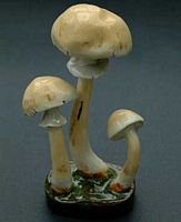 Agaric anisé des bois. Céramique. Cliquer pour agrandir l'image.